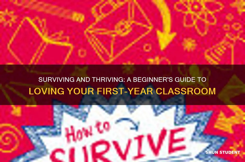 how not to hate your students first year teaching