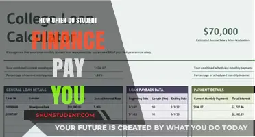 Student Finance Payments: How Often?