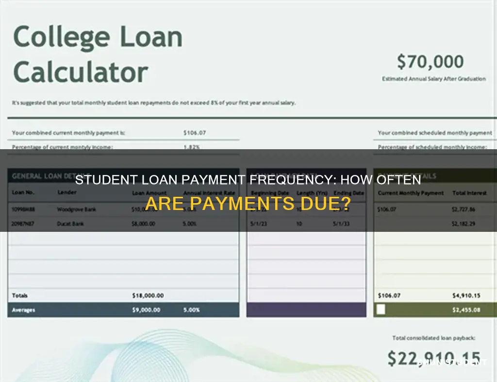 how often do you have to pay student loans