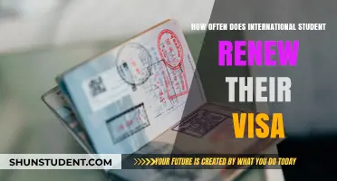 International Students: Visa Renewal Frequency