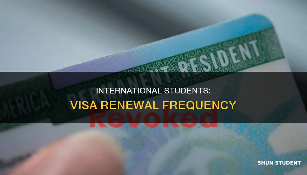 how often does international student renew their visa
