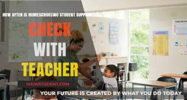 Homeschooling Check-Ins: How Often Should Students Connect with Teachers?