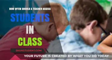 Effective Student Assessment: Finding the Right Frequency for Classroom Success