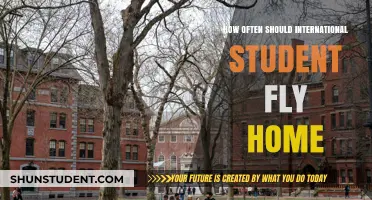 International Students: When to Fly Home