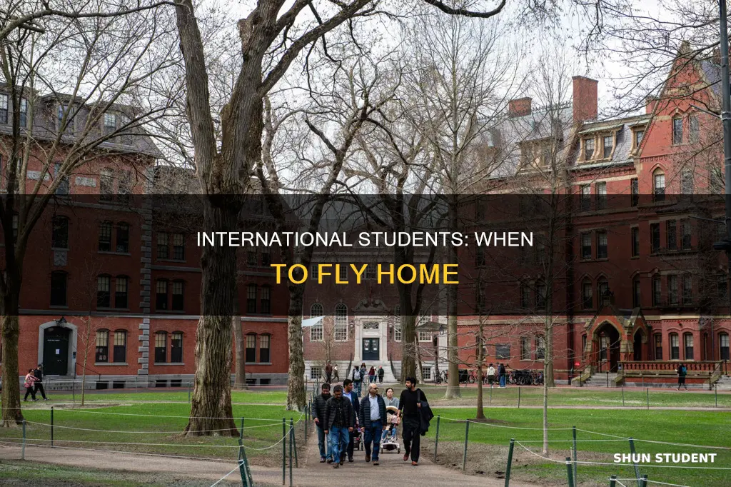 how often should international student fly home