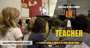 Exploring the Age Gap: Student-Teacher Dynamics in Modern Education