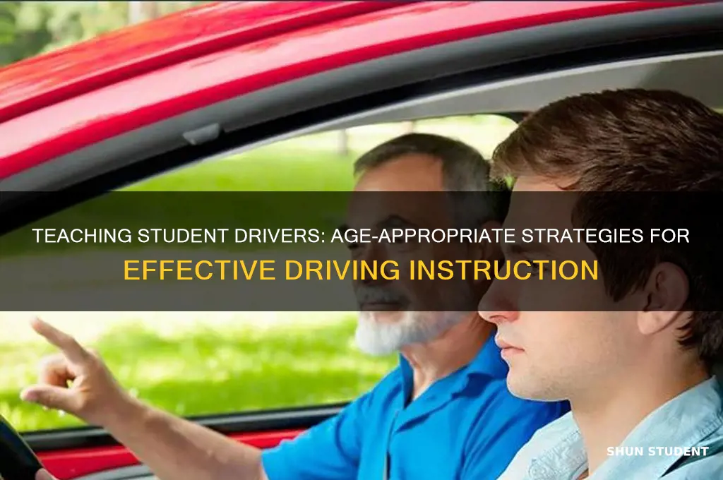 how old teach student driver