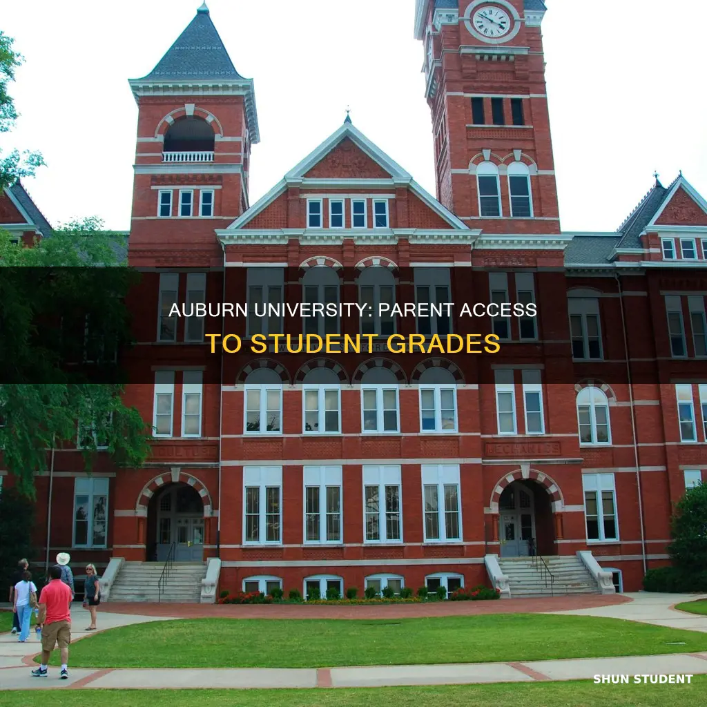 how parents check student grades at auburn university