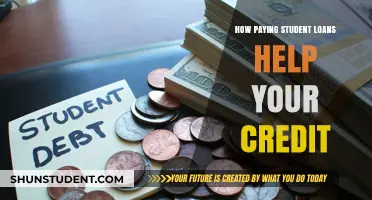 Student Loans: Credit-Building Payment Plans