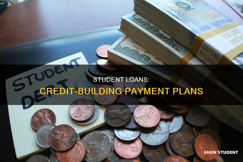 how paying student loans help your credit