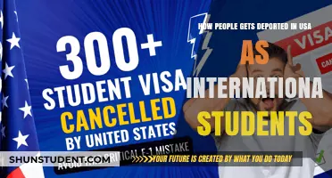 Understanding Deportation: Risks for International Students in the US