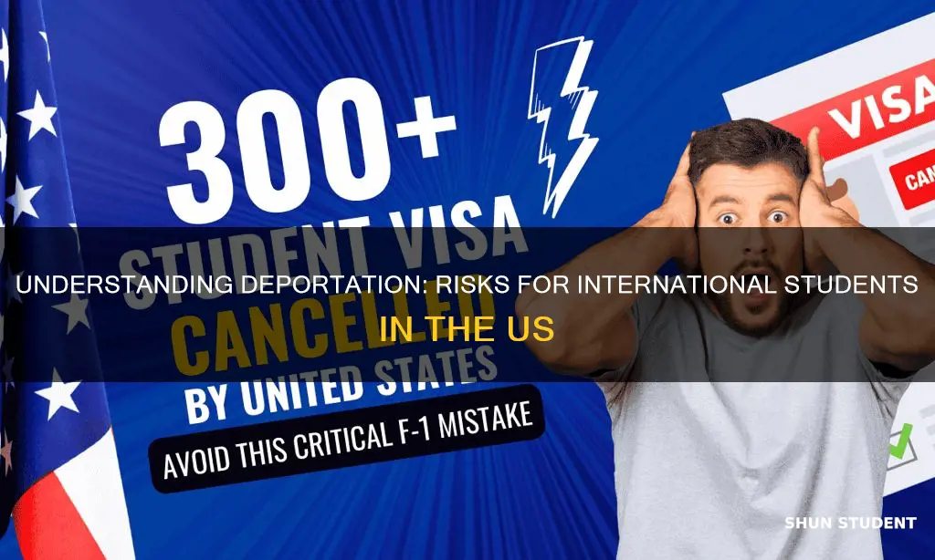 how people gets deported in usa as international students