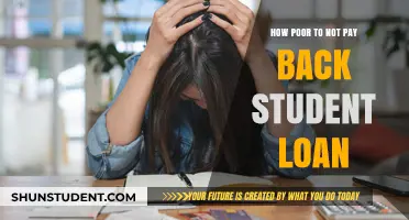 Student Loan Defaults: Strategies to Avoid Financial Ruin