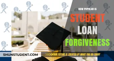 Student Loan Forgiveness: How Popular is This Debt Relief Option?