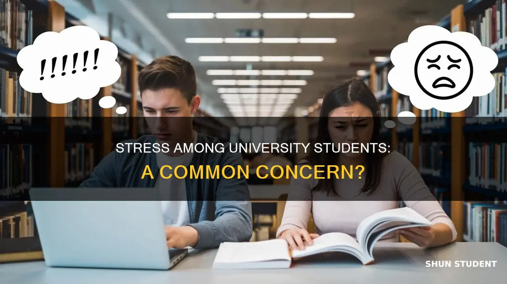 how prevalent is stress among university students