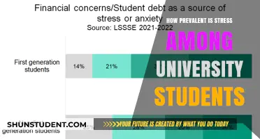 Stress Among University Students: A Troubling Epidemic