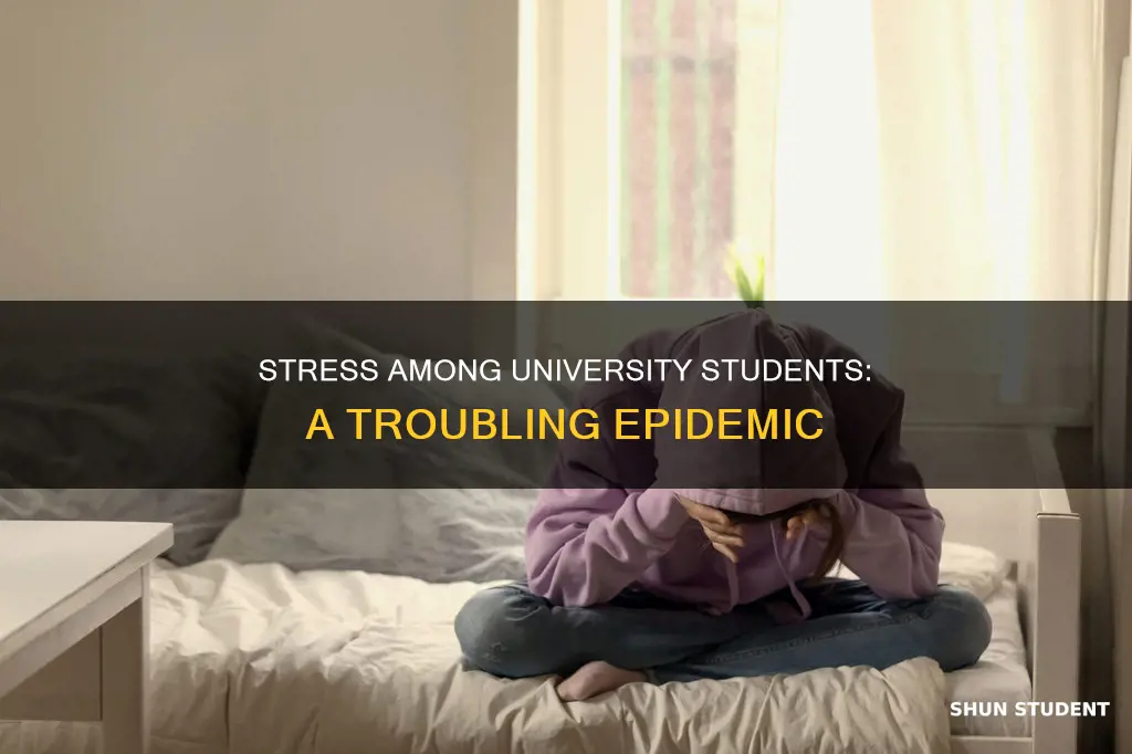 how prevalent is stress among university students