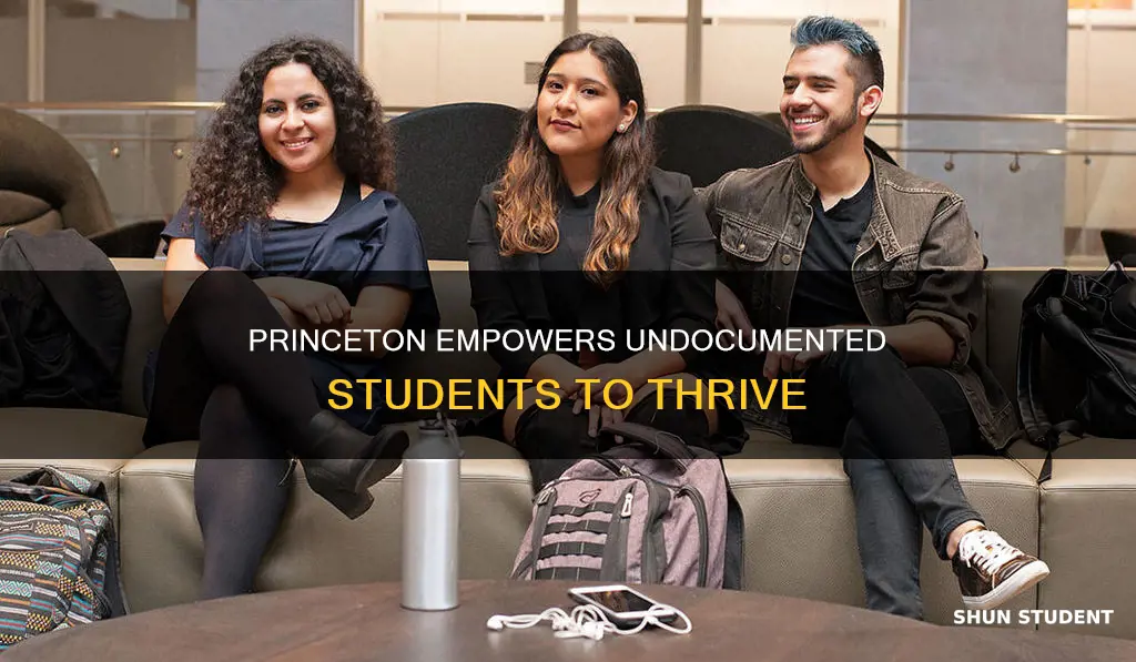 how princeton university helps undocumented immigrant students