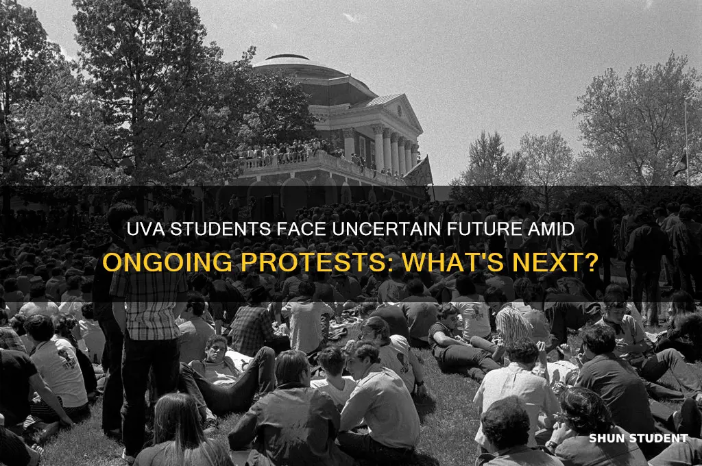 how protests will affect uva students