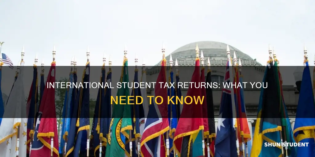 how return taxes international student usa