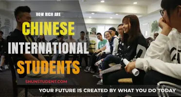 Wealthy Chinese Students: A Global Trend