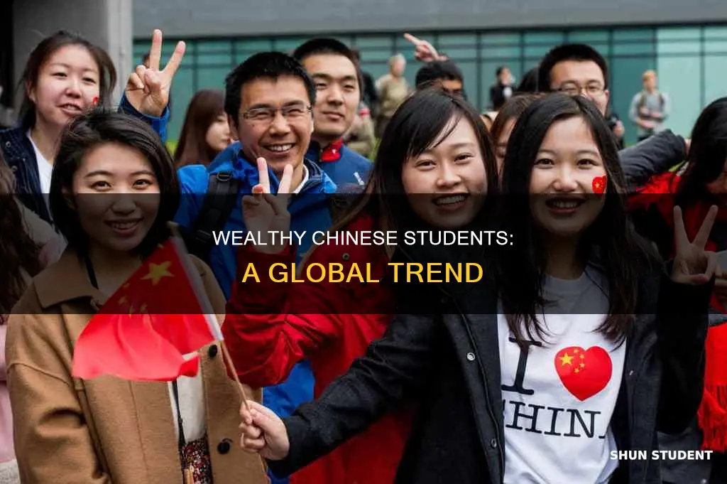 how rich are chinese international students