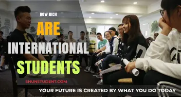 The Wealthy International Student: How Rich Are They?