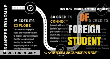 Transferring to a Foreign University: A Guide for Savis