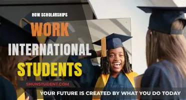 Scholarships for International Students: How Do They Work?