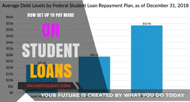 Student Loan Strategies: Paying More, Owing Less