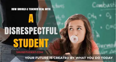 Strategies for Teachers: Handling Disrespectful Students with Patience and Firmness