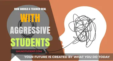 Strategies for Teachers to Manage and De-escalate Aggressive Student Behavior