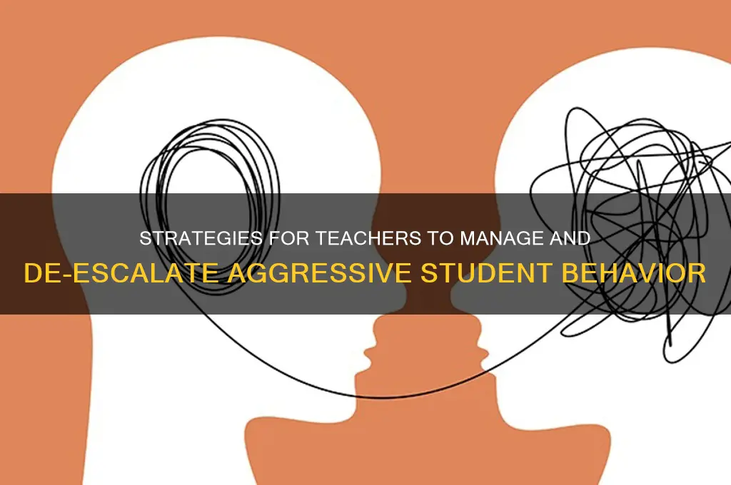 how should a teacher deal with aggressive students