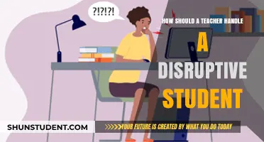 Strategies for Teachers: Managing Disruptive Students in the Classroom
