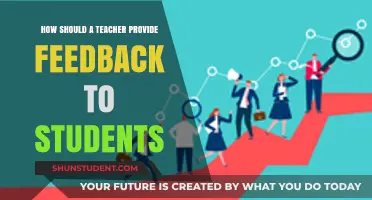 Effective Feedback Strategies: Empowering Students Through Constructive Teacher Guidance