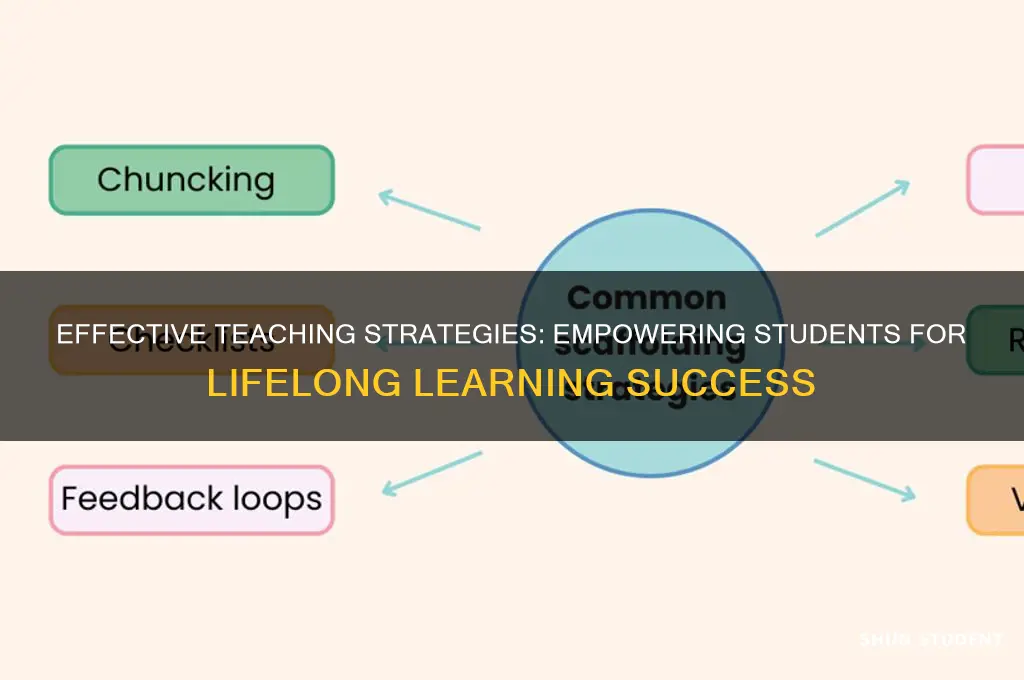 how should a teacher teach a student
