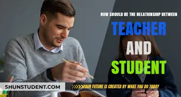 Fostering Mutual Respect: Building Ideal Teacher-Student Relationships