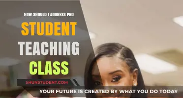 Addressing PhD Student Instructors: Effective Communication Strategies for Classroom Success