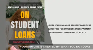 Student Loan Strategies: Allocating Extra Payments