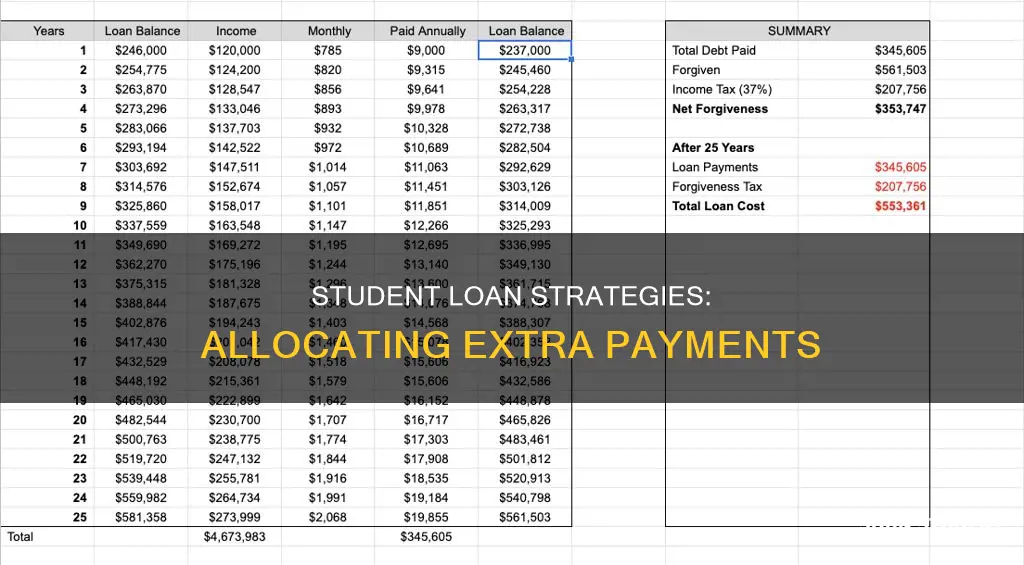 how should i allocate paying extra on student loans