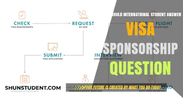 Visa Sponsorship: Guide for International Students