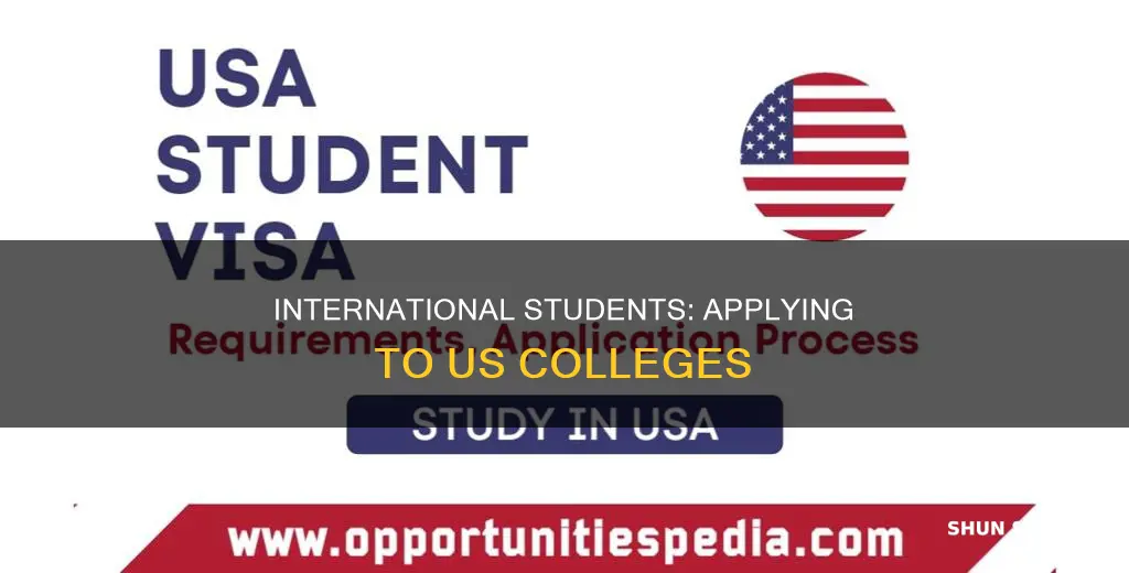 how should international student apply for college in usa