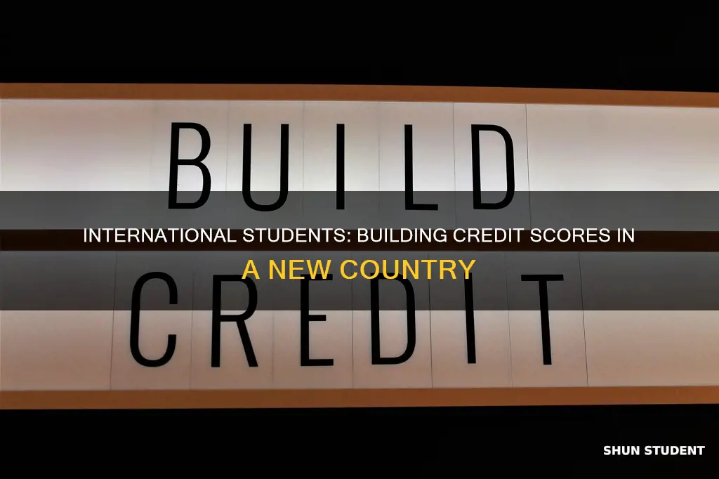how should international students get credit score