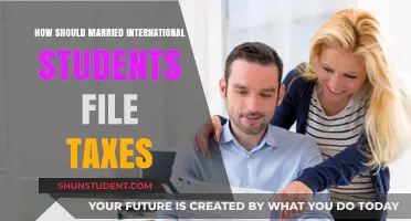 International Student Tax Tips: Married Filing Jointly