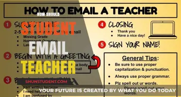 Effective Student-Teacher Communication: Crafting Professional Emails with Confidence