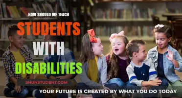 Inclusive Education Strategies for Empowering Students with Disabilities