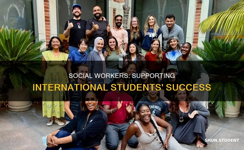 how social workers can work with international students