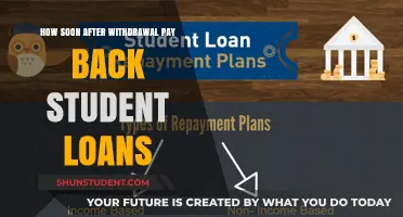 Student Loan Strategies: When to Start Paying Back?
