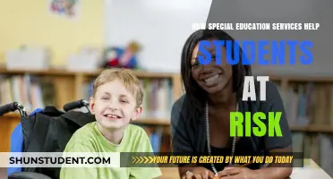 Empowering At-Risk Students: The Impact of Special Education Services