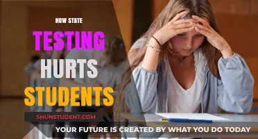The Negative Impact of State Testing on Student Well-being and Learning